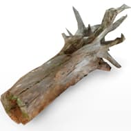 woodlog
